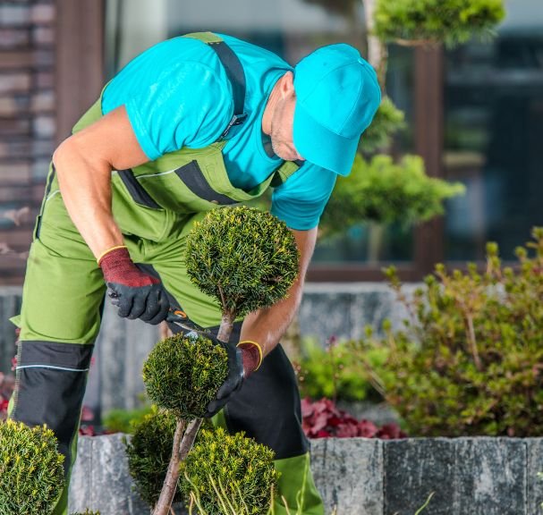 gardening safety